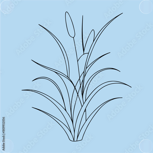 Minimalist Reed and Cattail Plant Drawing for Wetland Ecology