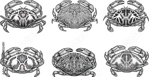 Hand Drawn Vintage Crab Icon Set, Detailed Engraved Sea Animal Vector Illustrations for Nautical Designs