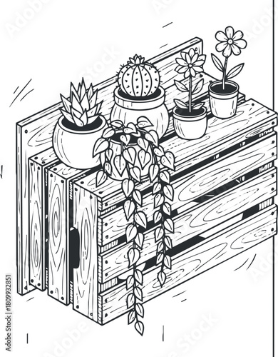 Hand-drawn vector illustration of potted plants on wooden crates, showcasing a variety of greenery in a decorative arrangement