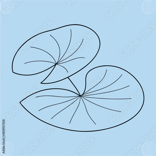 Minimalist Aquatic Plant Line Art Water Lily Pads Design