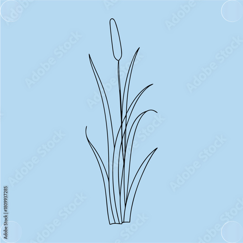 Simple Lineart Cattail Plant Illustration for Nature Designs