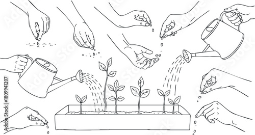 Line art illustration depicting hands planting seeds, watering plants, and nurturing seedlings in a garden setting