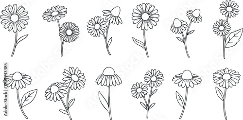 Hand-drawn outline vector illustration of various flowers including daisies and stylized blooms for decorative use