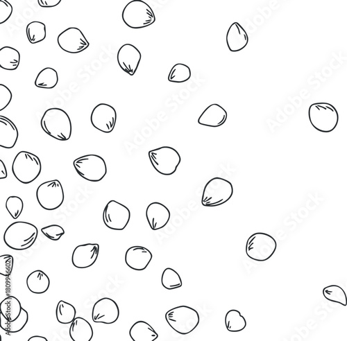 Hand-drawn vector illustration of scattered seeds in a minimalist style for gardening and agricultural design projects