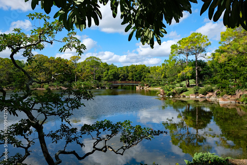 Looking at a lake reflecting the blue sky and clouds framed by trees