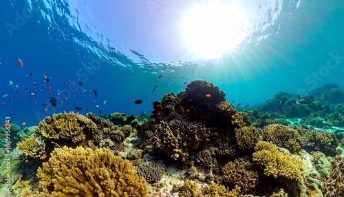Fototapeta Naklejka Na Ścianę i Meble -  Sunlit coral reef with schools of fish visible through ocean surface, vivid blues and orange underwater landscape