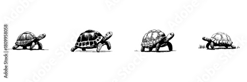 Tortoise Walking Sequence Doodle Sketch Set. Slow Movement And Patience Symbolism In Hand Drawn Style Collection. Illustrates Steady Progress And Endurance. Hand Drawn Isolated Vector Illustration