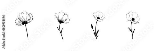 Hand Drawn Wildflower Doodle Sketch Set. Botanical Illustration Of Delicate Flowers In Bloom In Hand Drawn Style Collection. Nature-Inspired Floral Art. Isolated Vector Illustration