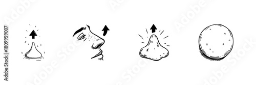 Nose Lifting And Contouring Doodle Sketch Set. Facial Aesthetics And Beauty Enhancement In Hand Drawn Style Collection. Cosmetic Procedures And Skin Care. Hand Drawn Isolated Vector Illustration