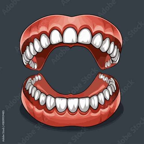 cute denture vector image