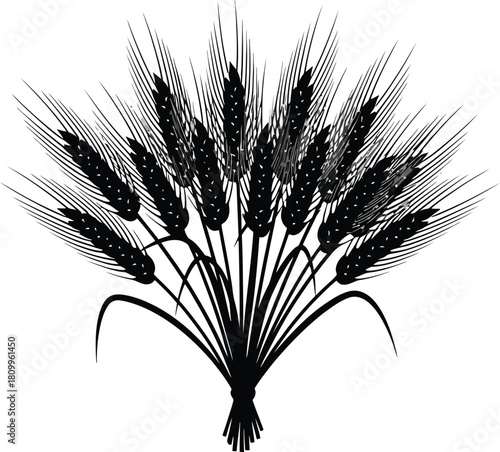 A striking black and white illustration of wheat stalks densely clustered together