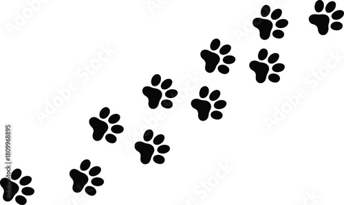 Black paw print trail walking across a clean white background