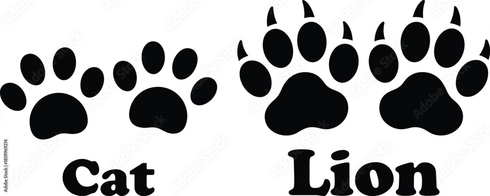Fototapeta premium Illustrated comparison of domestic cat and wild lion paw prints