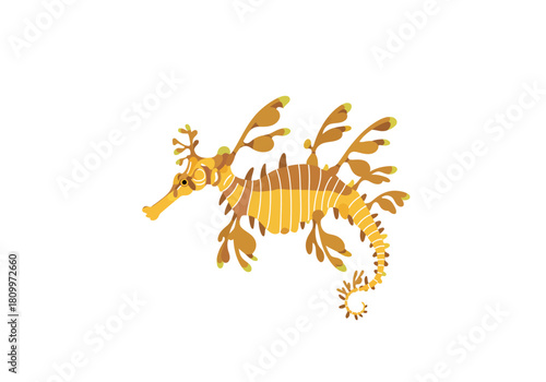 Leafy Sea Dragon Swimming in Ocean.