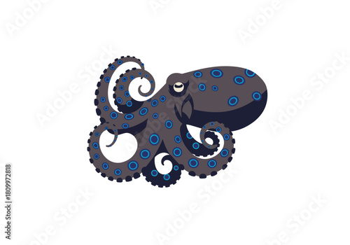 Dark blue octopus with blue spots and curly tentacles on white background.