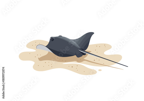Dark stingray resting on sand a captivating marine creature.