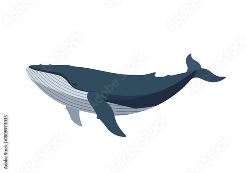 Road ahead through winter wonderland with snow covered trees and clear sky.