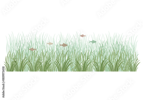 Underwater scene with green aquatic plants and small fish swimming.