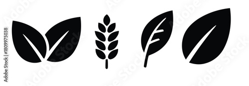 Minimalist black and white leaves and wheat vector illustration