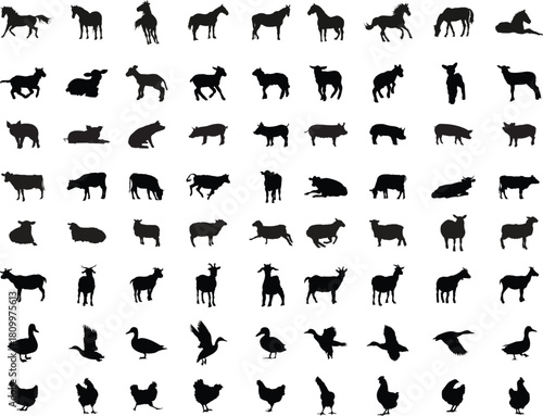 A collection of farmyard animal silhouettes