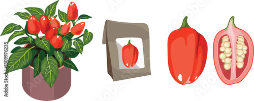 Set with ornamental pepper (Capsicum annuum) plant. Plant, paper bag and red ripe fruit with seeds isolated on white background