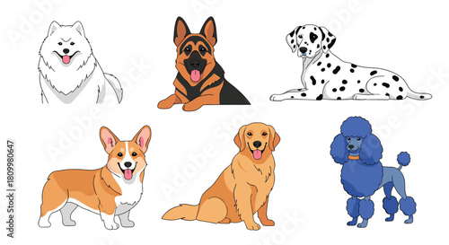 Adorable collection of six popular dog breeds including a Corgi Golden Retriever and Poodle isolated on a white background.