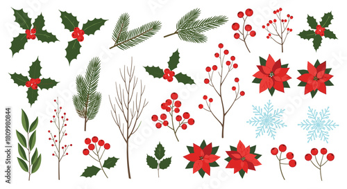 Large collection of traditional Christmas and winter botanical elements including holly poinsettia pine branches berries and snowflakes.