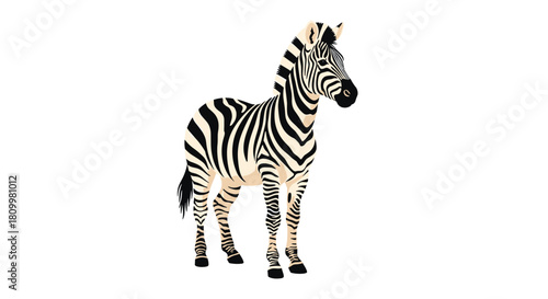 Realistic illustration of a graceful zebra with classic black and white stripes standing in a side profile on a white background.