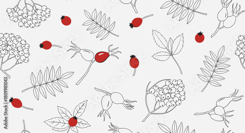 Seamless black and white pattern with red accent berries featuring hand-drawn rowan and rosehip for a simple autumn design.