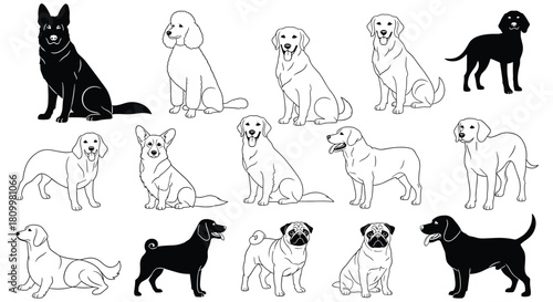 Large set of popular dog breeds illustrated in clean black and white line art and silhouette styles on a white background.