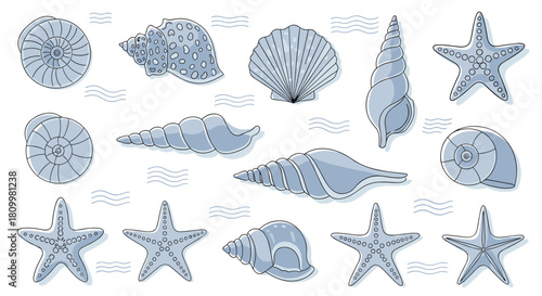 Hand-drawn collection of various seashells and starfish in a blue and white color palette with delicate stitched details.