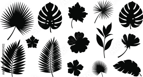 Collection of tropical leaves and flowers in black and white silhouettes