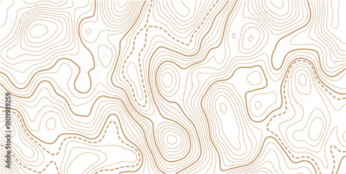 Abstract topo contour map on white background, Topographic map Topographic contour lines map seamless pattern.Topography background. Vector banner. Topo,

