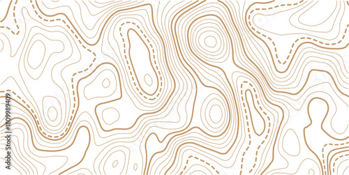 Abstract topo contour map on white background, Topo with elevation. The concept of a conditional geography scheme and contour line map image.Vintage outdoors style wallpaper. 