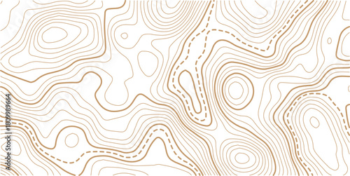 Abstract topo contour map on white background, Topographic map Topographic contour lines map seamless pattern.Topography background. Vector banner. Topo,
