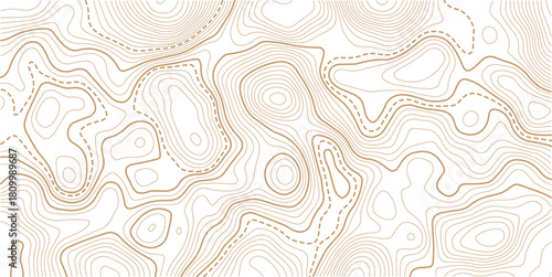 Abstract topo contour map on white background, Topo with elevation. The concept of a conditional geography scheme and contour line map image.Vintage outdoors style wallpaper. 