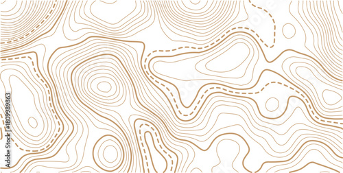 Abstract topo contour map on white background, Topo with elevation. The concept of a conditional geography scheme and contour line map image.Vintage outdoors style wallpaper. 