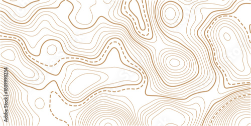 Topographic gold luxury map background. Geographic abstract pattern. The topo contour or wallpaper. The concept of a conditional geography scheme and contour line map image.