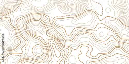 Abstract topo contour map on white background, Topo with elevation. The concept of a conditional geography scheme and contour line map image.Vintage outdoors style wallpaper. 