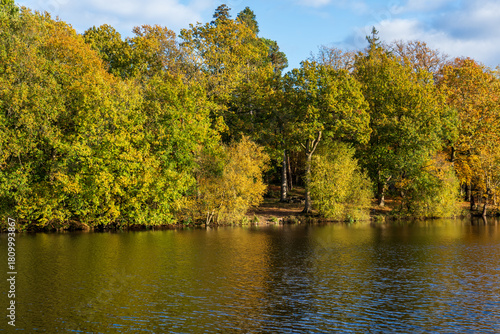 Autumn reflections in the pond. Buchan Country Park in Crawley, England.