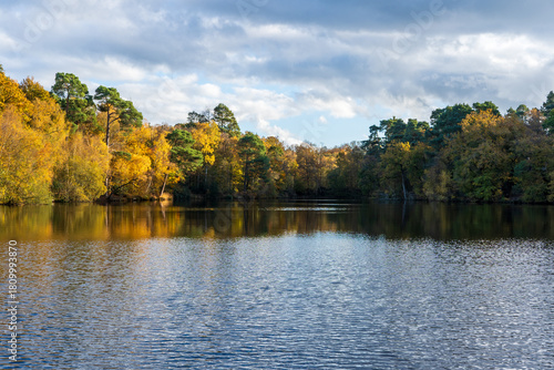 Autumn reflections in the pond. Buchan Country Park in Crawley, England.