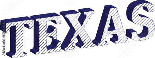 Texas 3D Text Lettering Art Design  Bold Typography Graphic
