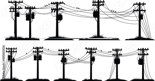Electricity infrastructure, utility poles, power lines, transformers, urban grid, energy distribution, electrical system, rural network, overhead wires, insulators, birds perched, grassy ground