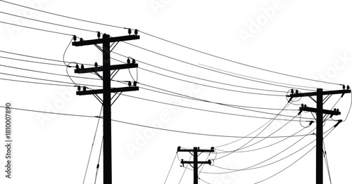 Utility pole vector, power line illustration, electrical infrastructure drawing, energy distribution design, urban grid concept, engineering sketch, transmission wire art, perspective view