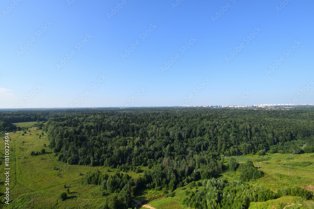 Naklejka premium Opalikha forest park in Krasnogorsk district of Moscow region, Russia