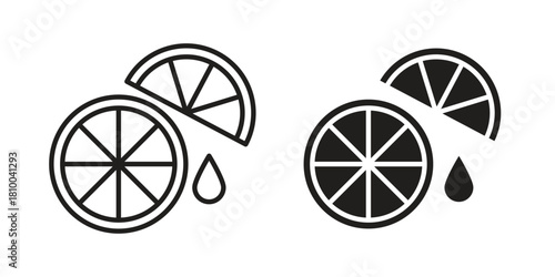Citrus slice icon collection. modern simple icons for web