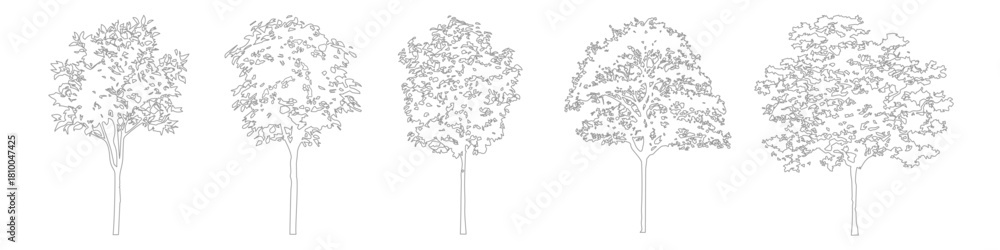Fototapeta premium Minimal CAD tree drawings for architectural and landscape plans