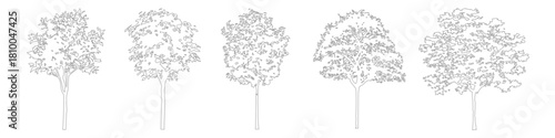 Minimal CAD tree drawings for architectural and landscape plans