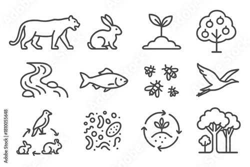 Ecological Balance Icons. Line style icons of ecological balance: predator, prey, seedling, fruit tree; flowing river, fish,