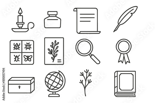 Naturalist Desk Icons. Line style icons of naturalist desk: candle holder, ink bottle, parchment, feather pen; specimen tray,